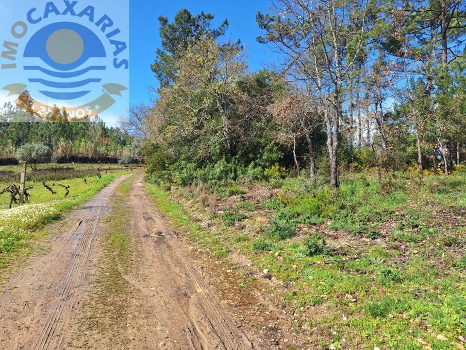 Helårsgrund i Ourem, Santarem - foto 1