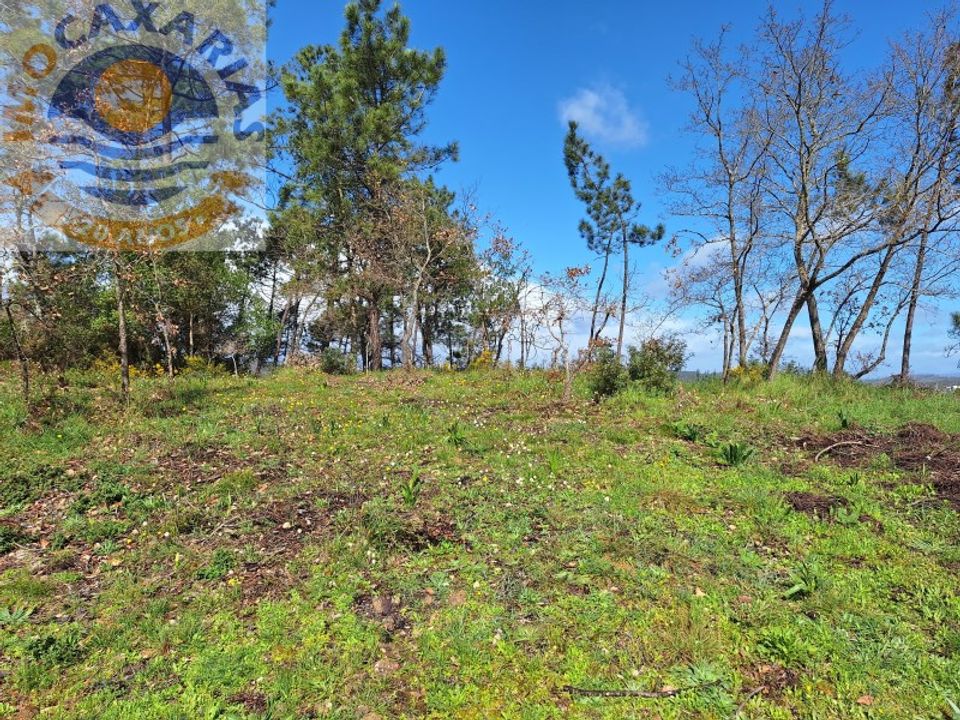 Helårsgrund i Ourem, Santarem - foto 2