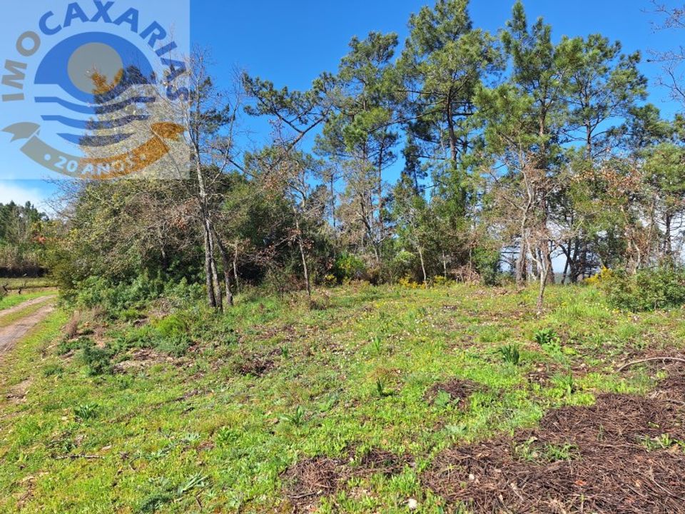 Helårsgrund i Ourem, Santarem - foto 3