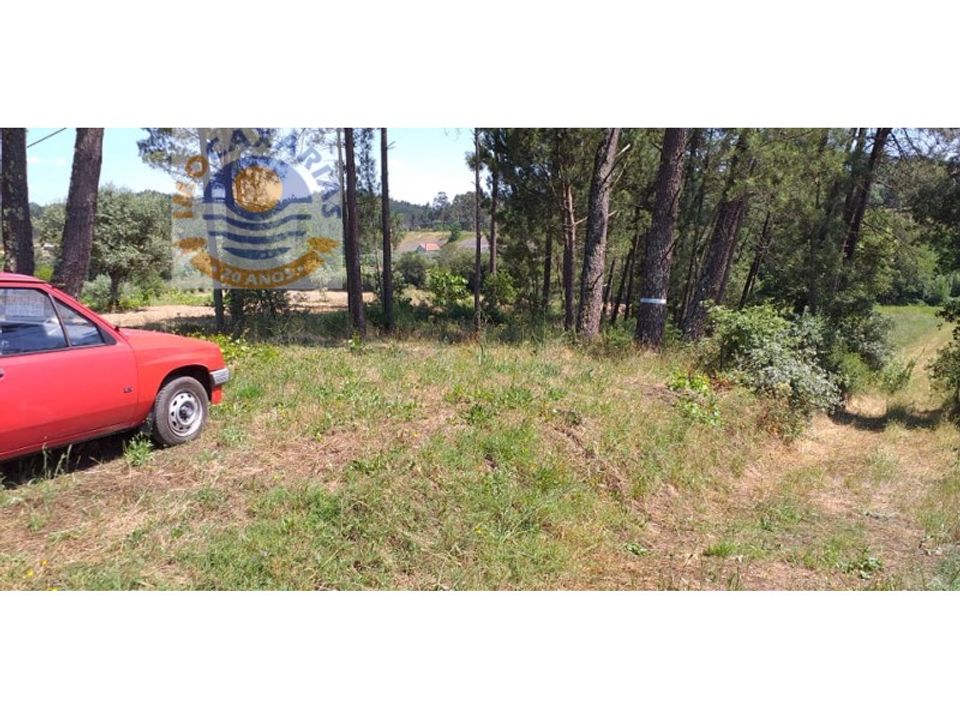 Helårsgrund i Ourem, Santarem - foto 3