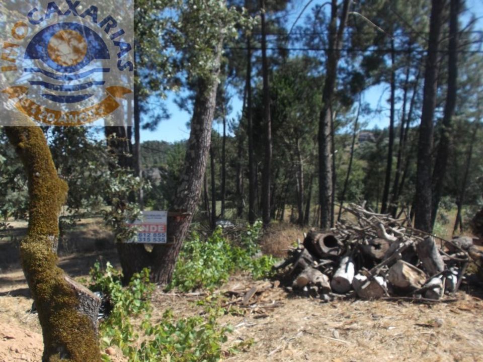 Helårsgrund i Ourem, Santarem - foto 4
