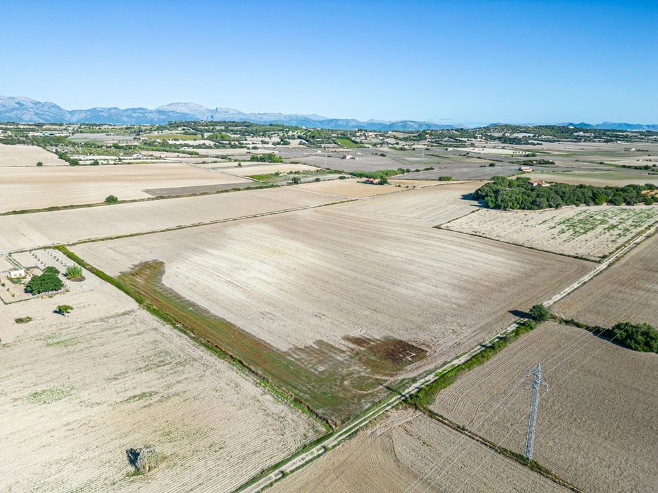 Tomt i Maria De La Salut, Mallorca - bilde 2