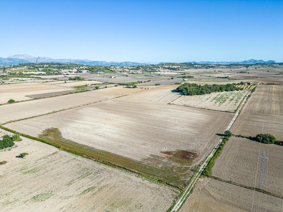 Tomt i Maria De La Salut, Mallorca - bilde 3