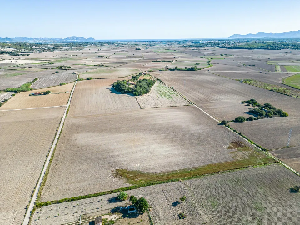 Tomt i Maria De La Salut, Mallorca - bilde 5