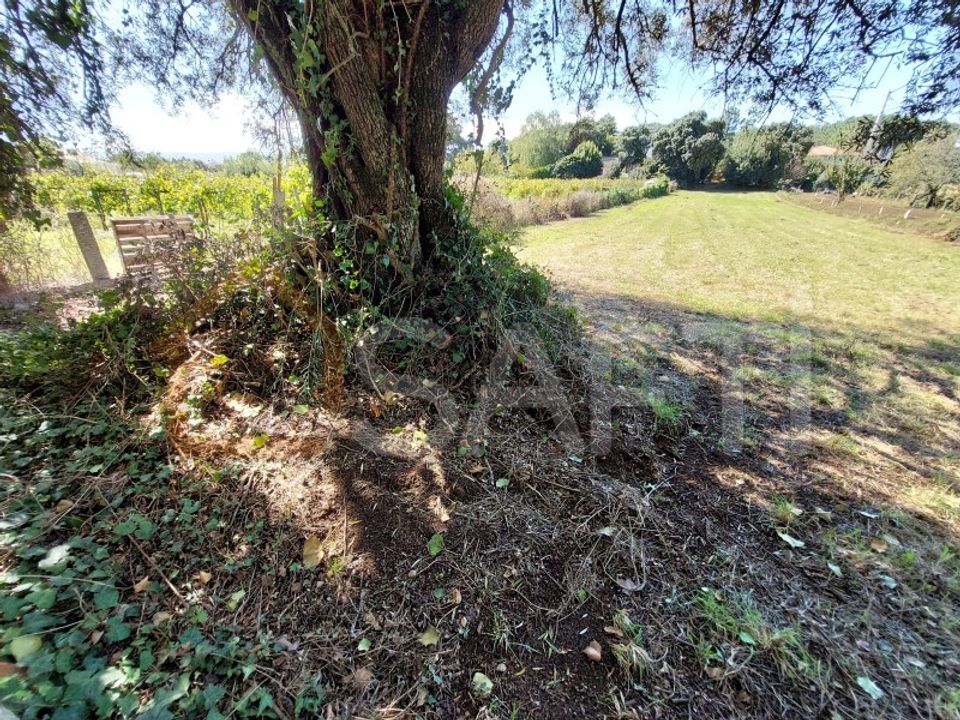 Helårsgrund i Moncao, Viana do Castelo - foto 1