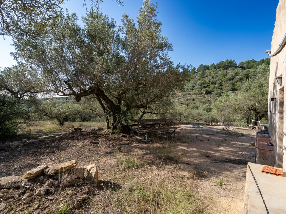Finca i Tortosa, Tarragona - foto 5
