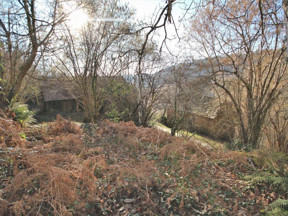Erhvervsejendom i Rieupeyroux, Aveyron - foto 1
