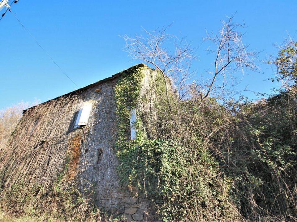 Erhvervsejendom i Rieupeyroux, Aveyron - foto 3