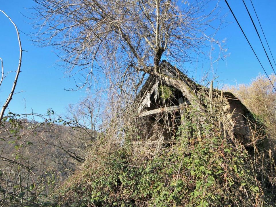 Erhvervsejendom i Rieupeyroux, Aveyron - foto 5