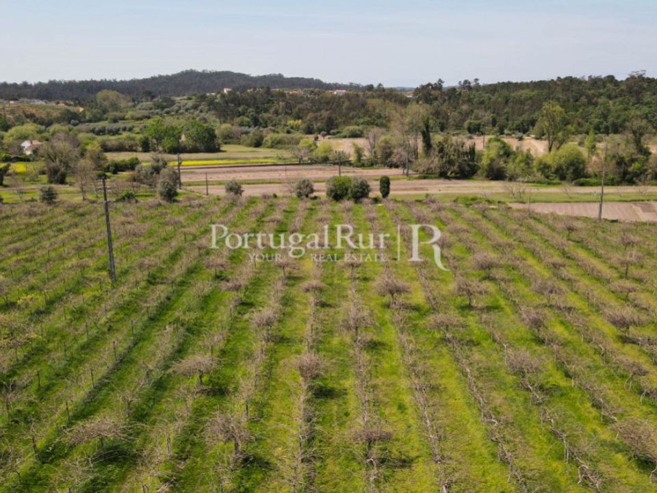 Farm i Soure, Coimbra - foto 2