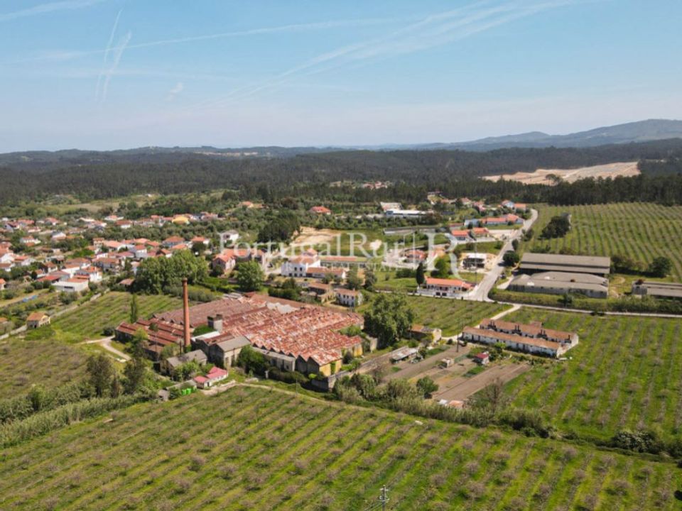 Farm i Soure, Coimbra - foto 3