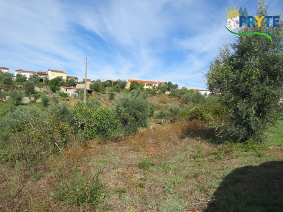 Helårsgrund i Serta, Castelo Branco - foto 3