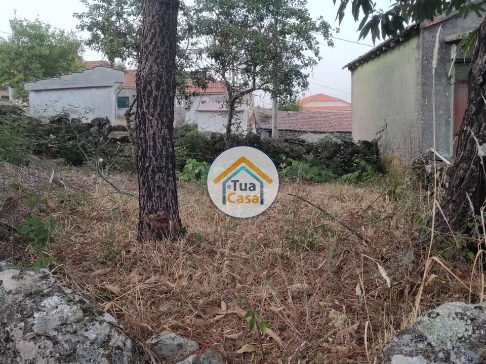 Byhus i Castro Daire, Viseu - foto 5