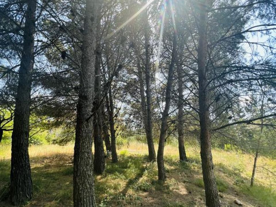 Helårsgrund i Serignan, Herault - foto 2