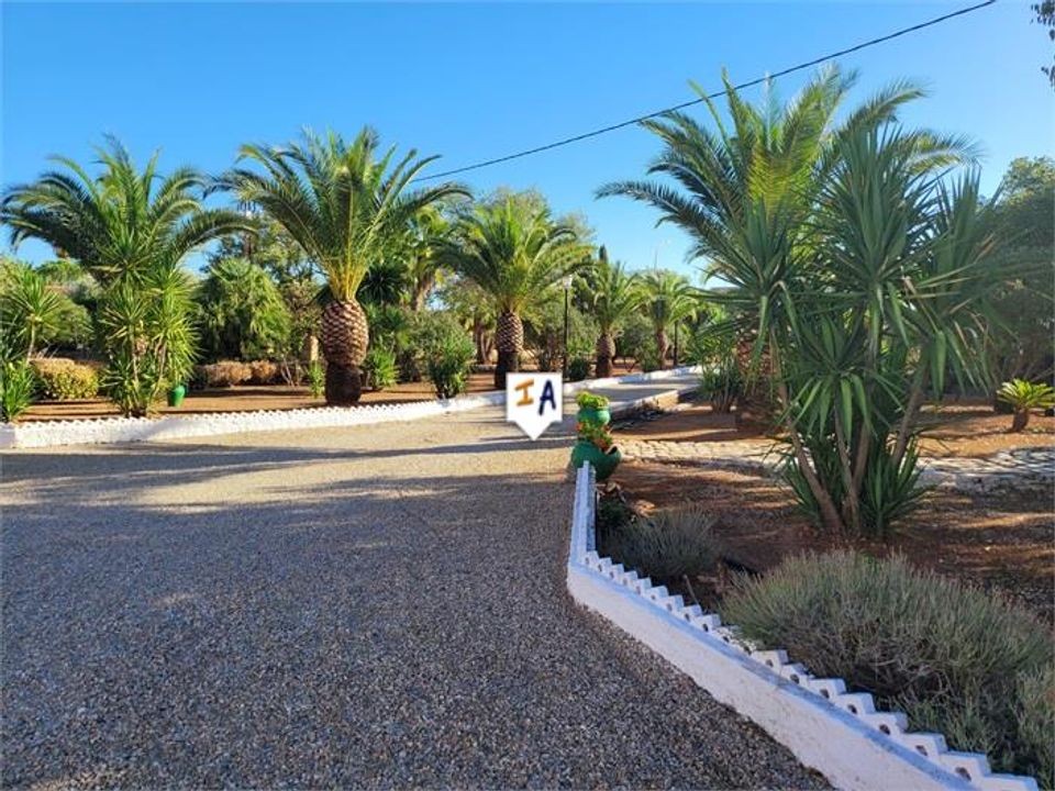 Villa i Puente Genil, Cordoba - bilde 4