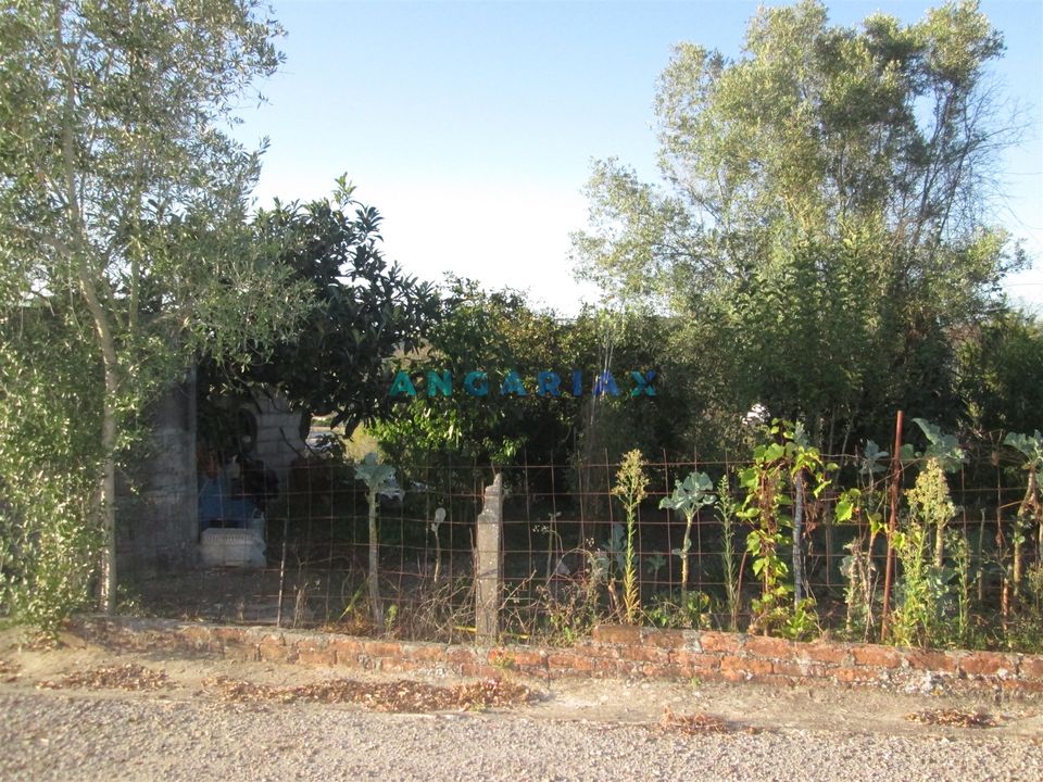 Helårsgrund i Leiria, Leiria - foto 5