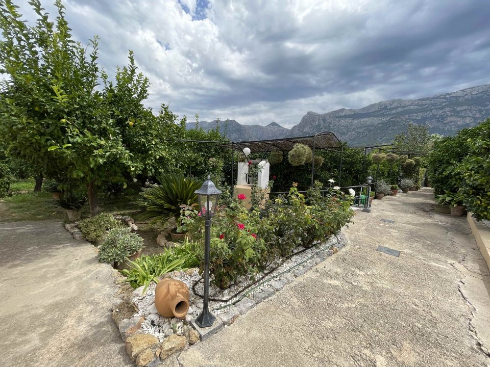 Landejendom i Soller, Mallorca - foto 5