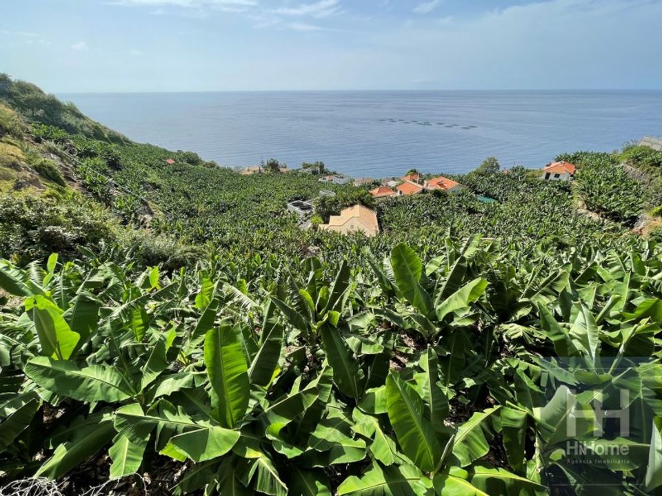 Helårsgrund i Arco da Calheta, Madeira - foto 5