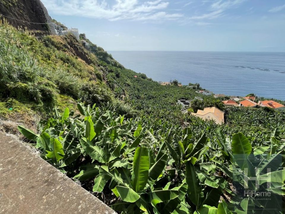 Helårsgrund i Arco da Calheta, Madeira - foto 1