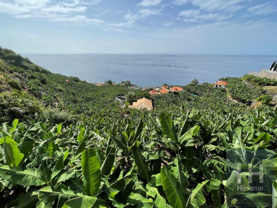 Helårsgrund i Arco da Calheta, Madeira - foto 3