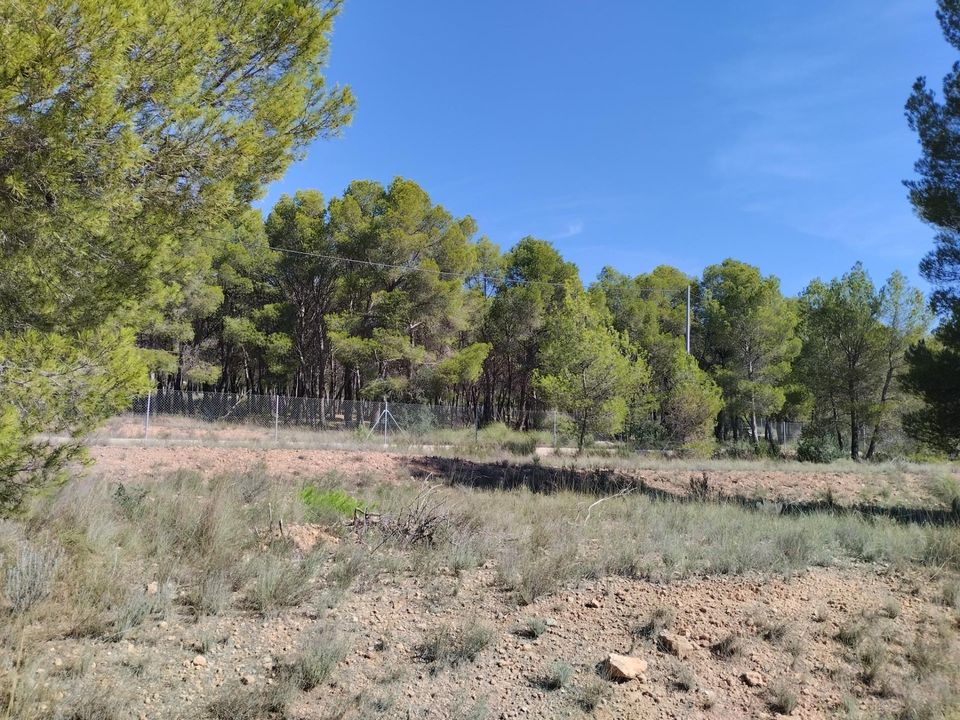 Helårsgrund i Totana, Murcia - foto 5