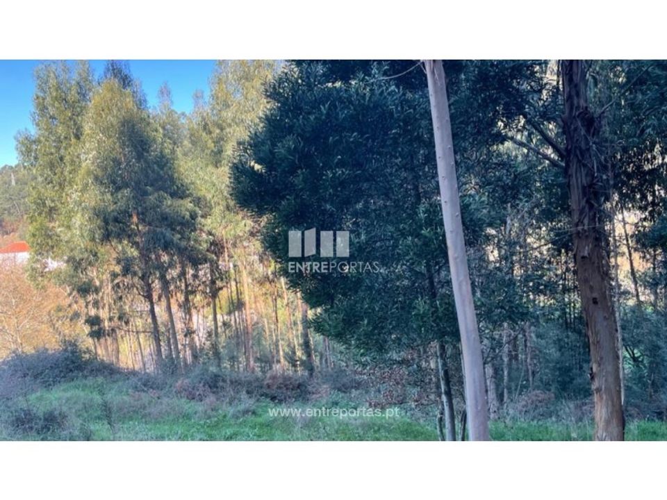 Tomt i Areosa, Viana do Castelo - bilde 3