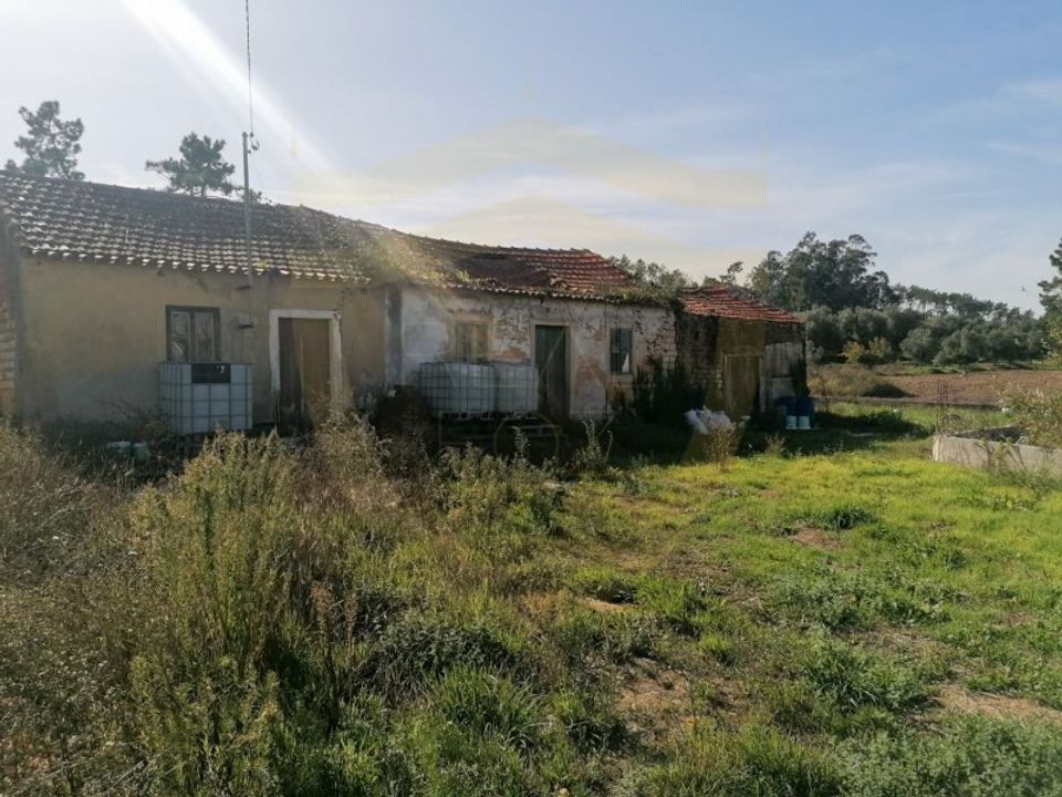 Landejendom i Soure, Coimbra - foto 2