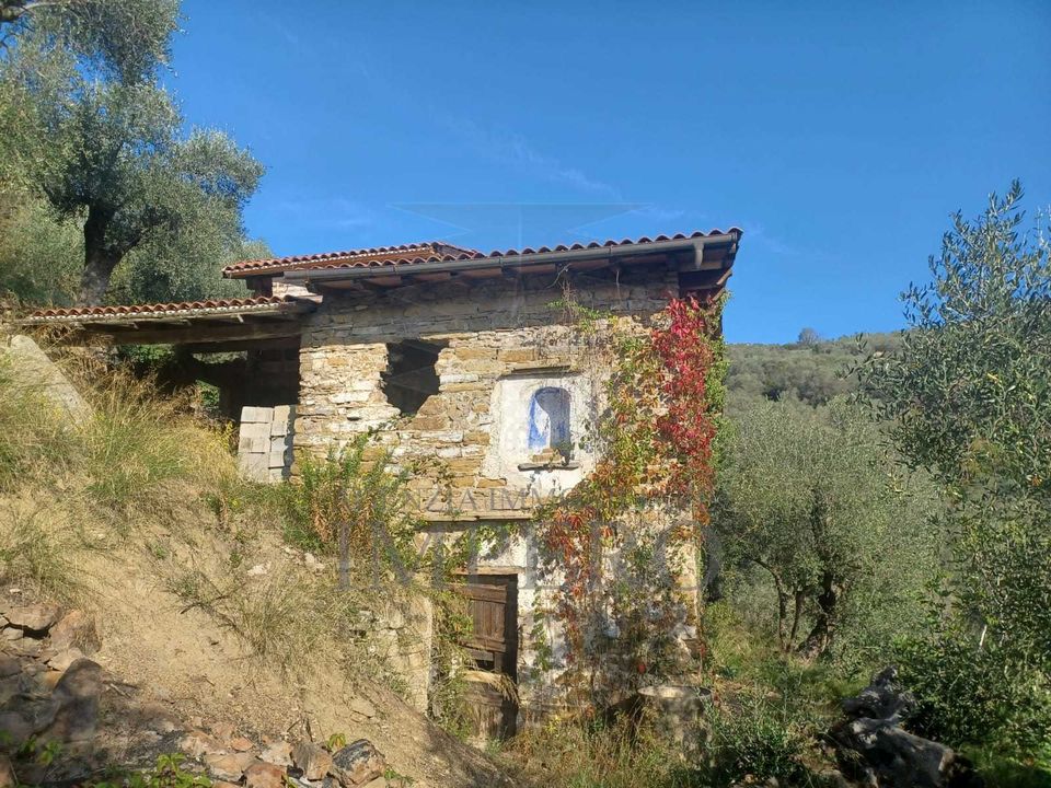 Erhvervsejendom i Dolceacqua, Imperia - foto 1