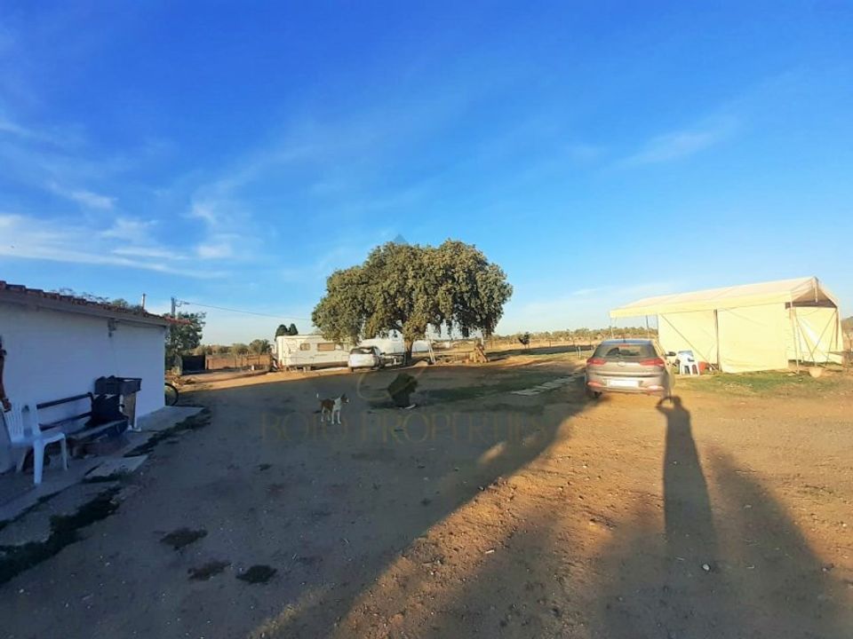 Terreno en Portel, Evora - foto 5