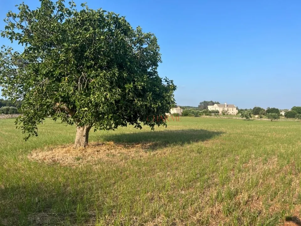 Landejendom i Martina Franca, Taranto - foto 2
