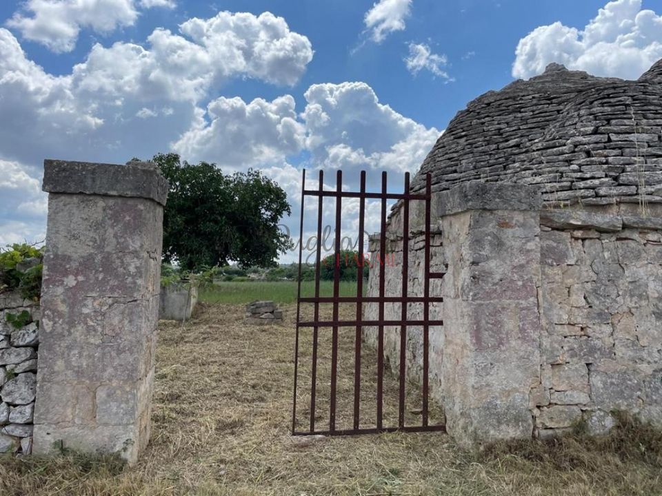 Landejendom i Martina Franca, Taranto - foto 5