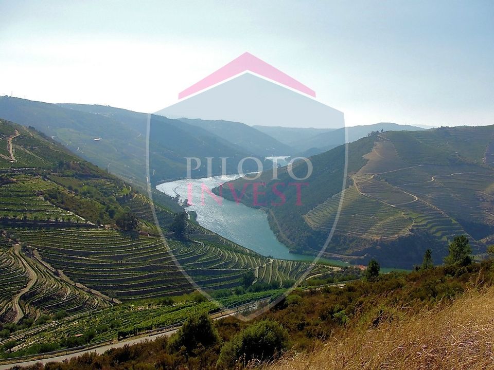 Farm i Tabuaco, Viseu - foto 2