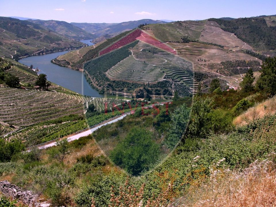 Farm i Tabuaco, Viseu - foto 4