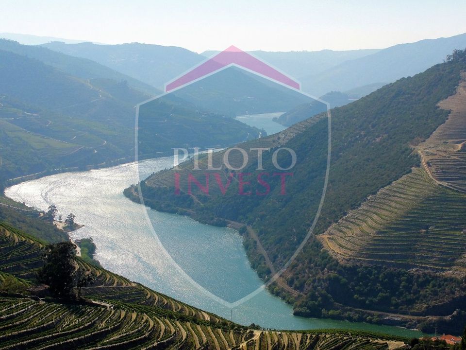 Farm i Tabuaco, Viseu - foto 5