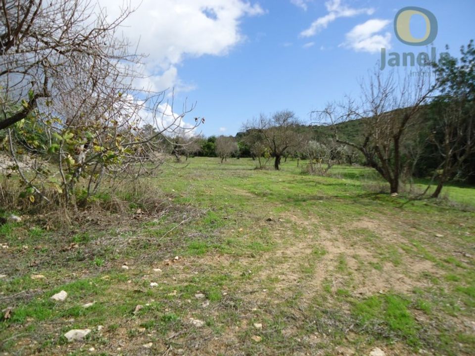 Helårsgrund i Santa Barbara de Nexe, Faro - foto 1