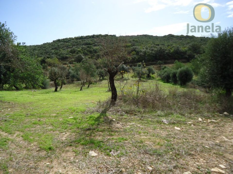 Helårsgrund i Santa Barbara de Nexe, Faro - foto 3