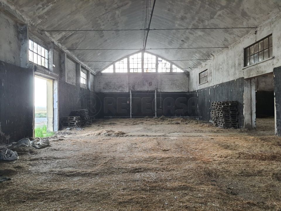 Villa i Bondeno, Ferrara - foto 4
