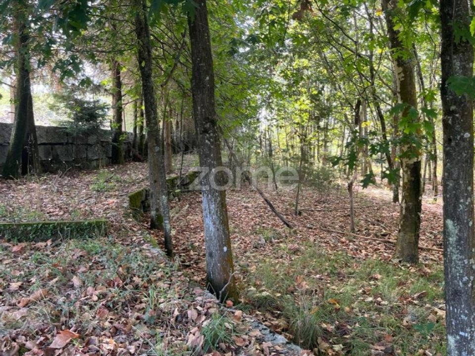 Helårsgrund i Sanfins de Ferreira, Porto - foto 4