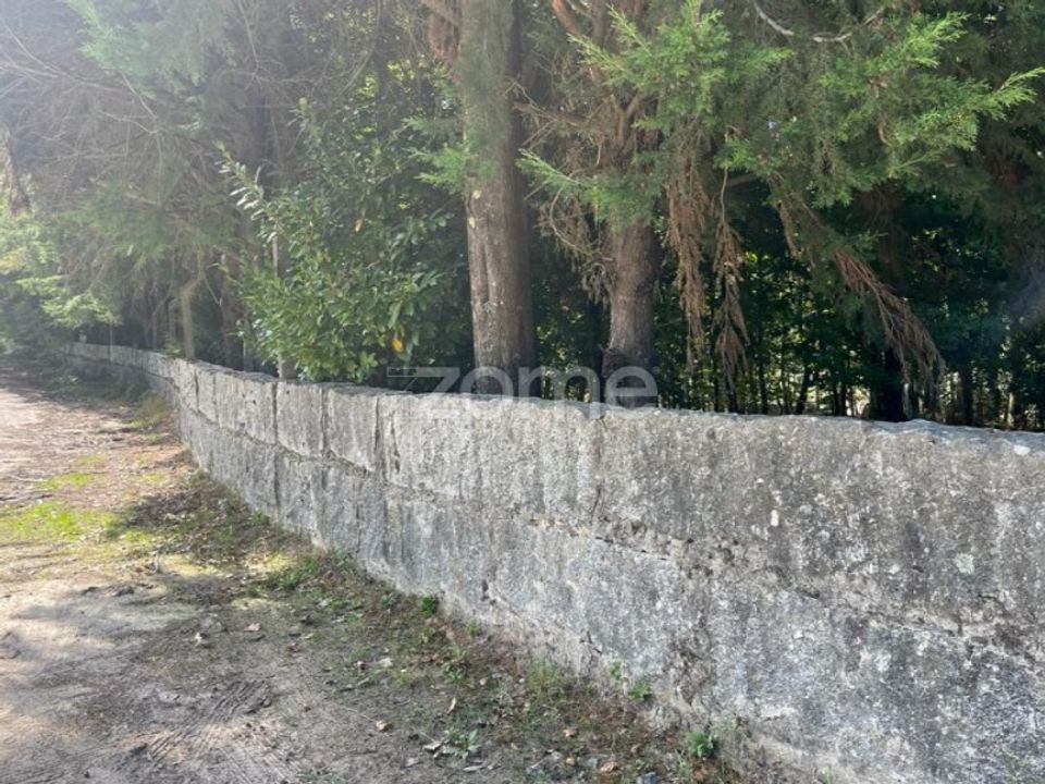Helårsgrund i Sanfins de Ferreira, Porto - foto 2