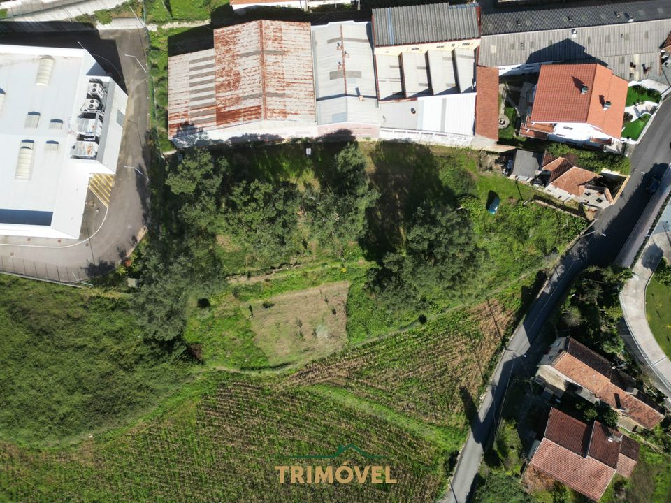 Helårsgrund i Oliveira de Azemeis, Aveiro - foto 3