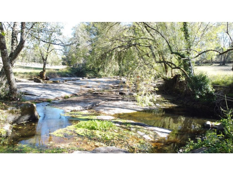 Farm i Vila Real, Vila Real - foto 1
