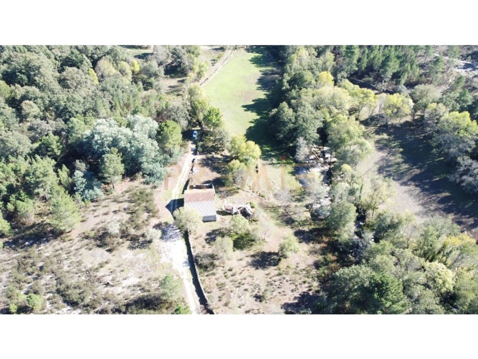 Farm i Vila Real, Vila Real - foto 3