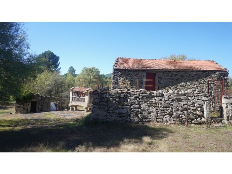 Farm i Vila Real, Vila Real - foto 5