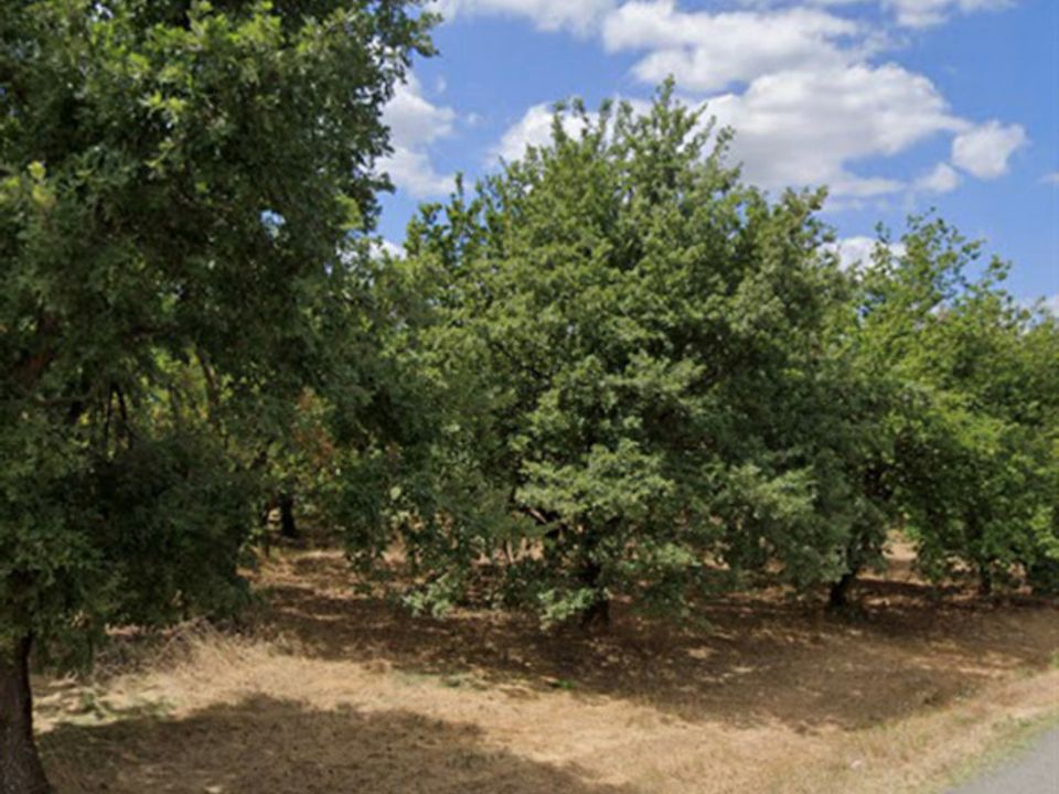 Helårsgrund i Marges, Drome - foto 1