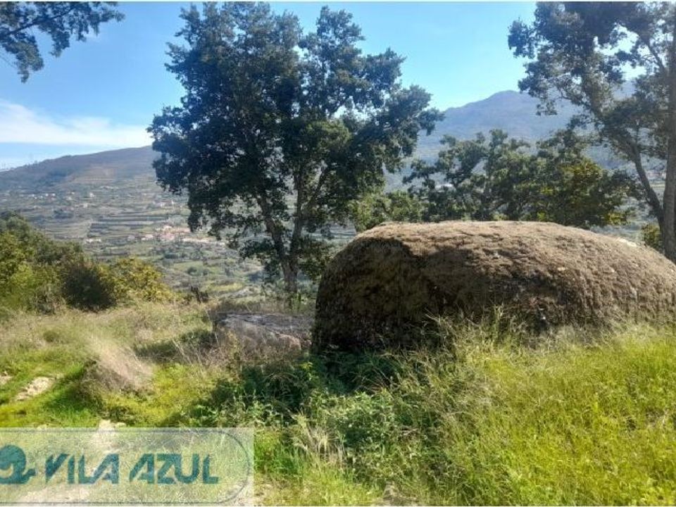 Farm i Mesao Frio, Vila Real - foto 1