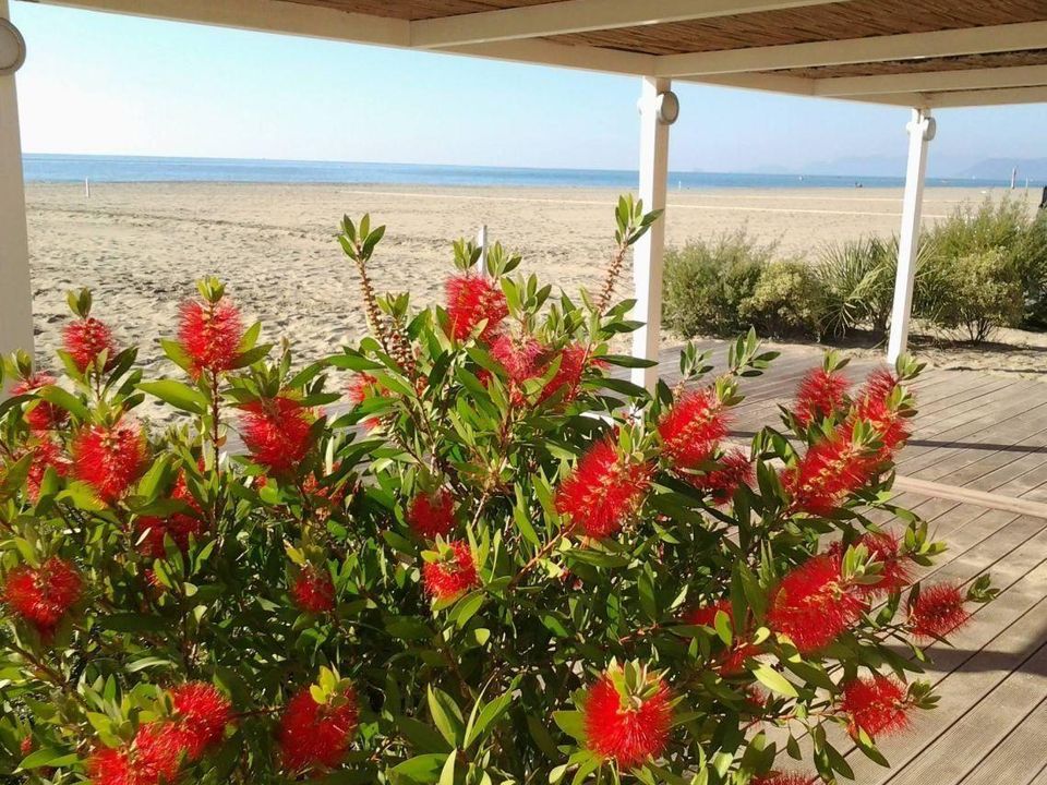 Byhus i Ameglia, La Spezia - foto 3