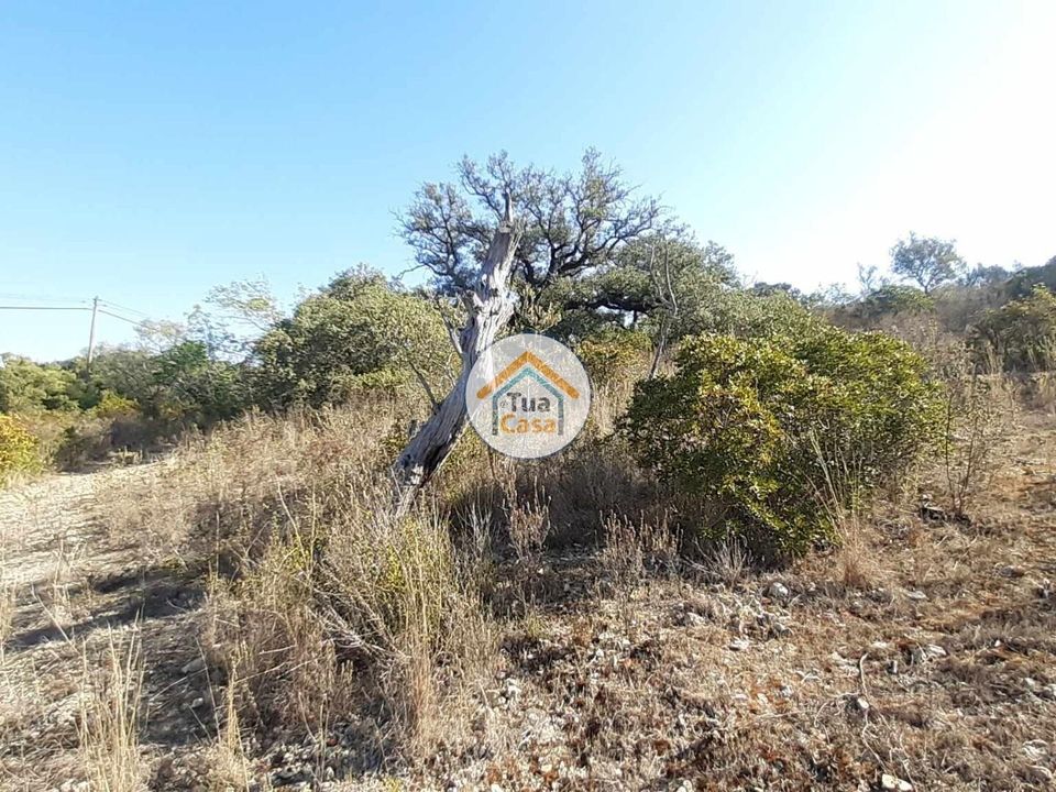 Helårsgrund i Sao Bras de Alportel, Faro - foto 4