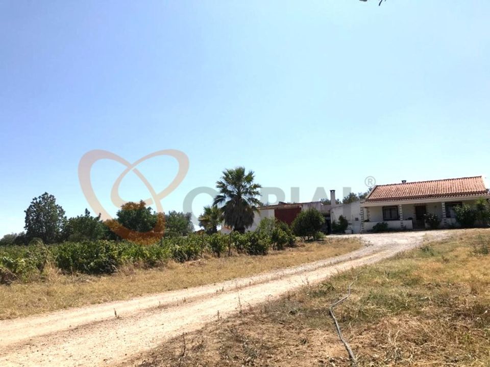 Villa i Vidigueira, Beja - bilde 3