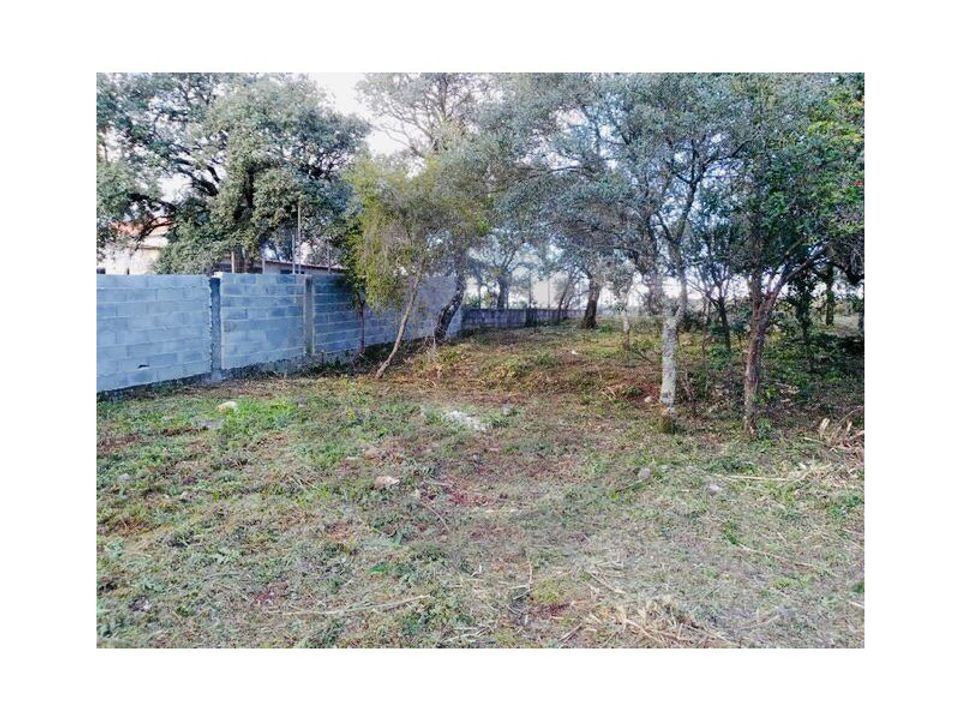Helårsgrund i Fatima, Santarem - foto 2