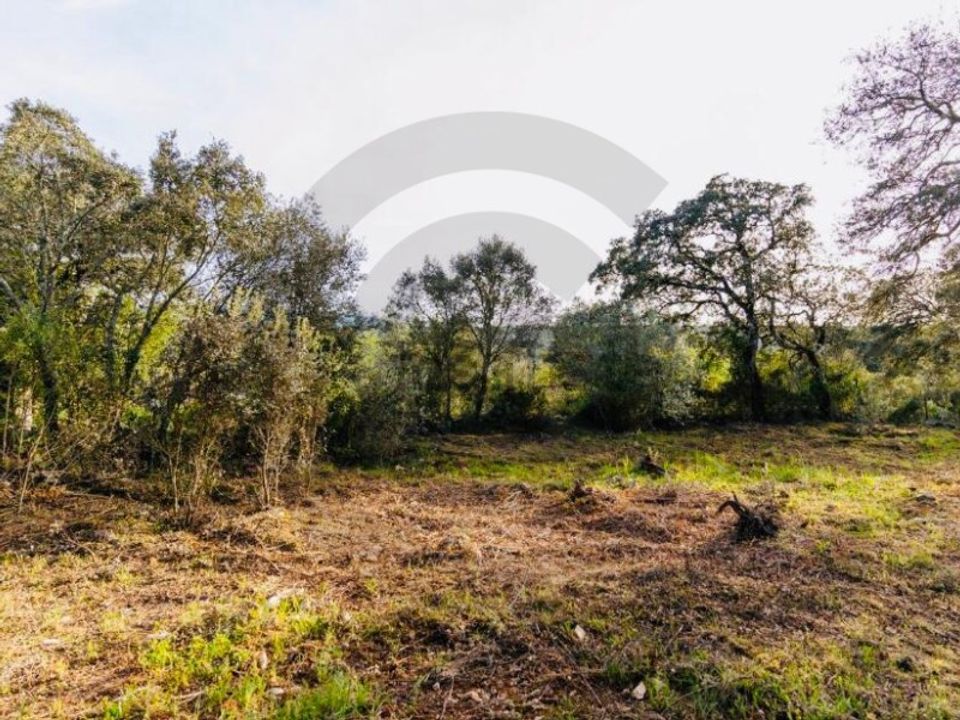 Helårsgrund i Fatima, Santarem - foto 3